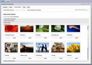 Adding images to a contact sheet in Mesmotronic ImProve